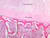 a3b fibrocartilage intervertebral disk 2x labeled.jpg