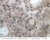 a1 compact bone 20x ground labeled.jpg