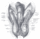 Testis2.gif