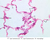 a78b pneumocytes 40x labeled.jpg
