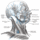 SomeHeadNodes.gif