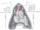 Thymus.gif