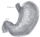 StomachMuscles.gif
