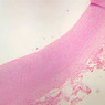 A26, Aorta, 2.5x (H&E)