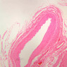 Cardiovascular