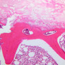 A3, Intervertebral Disk, 10x (H&E)