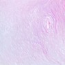 Epithelium