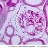 Epithelium