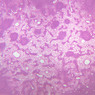 A32, Lymph Node, 2.5x (H&E)