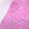 B91, Prostate, 2.5x (H&E)