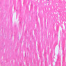 Extracted from Muscle_All.zip