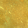 A83, Brainstem, 2.5x (Sevier Ag)
