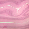 Neural Tissue