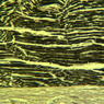 Neural Tissue